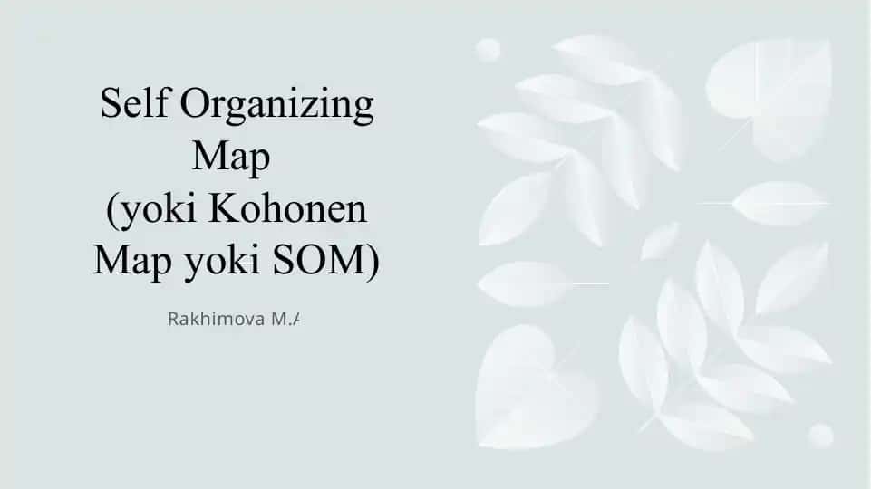 Self Organizing Map (SOM)