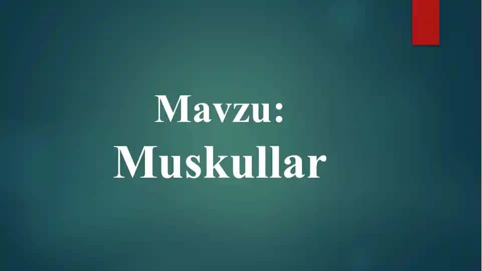 Muskullar