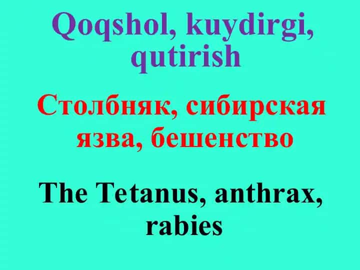 Qoqshol