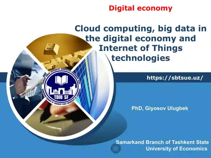 Cloud Computing and Big Data in the Digital Economy