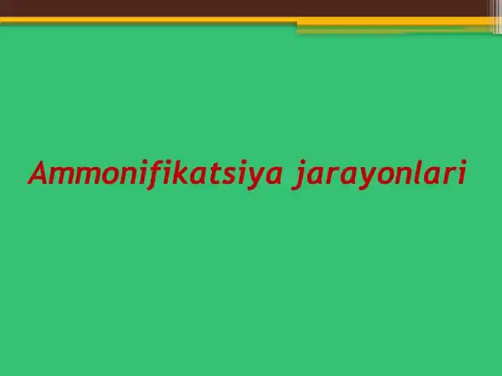 Ammonifikatsiya jarayonlari