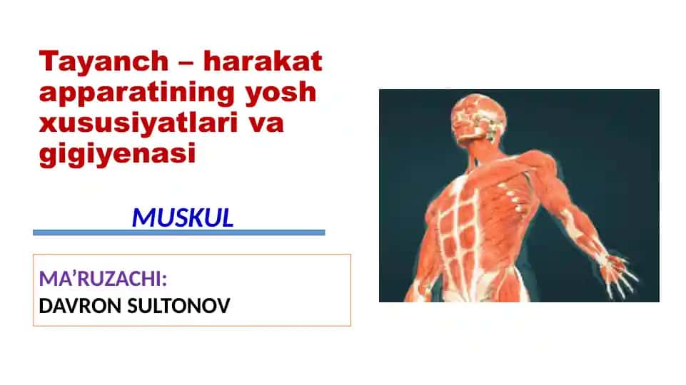 Tayanch – harakat apparatining yosh xususiyatlari va gigiyenasi