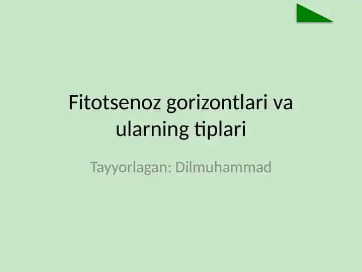 Fitotsenoz gorizontlari va ularning tiplari