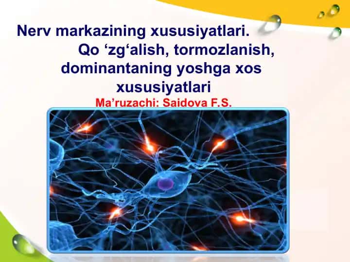 Nerv markazining xususiyatlari