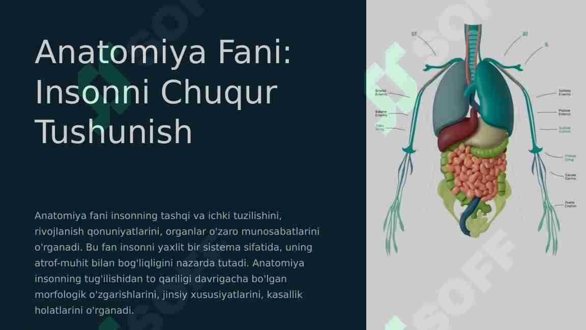 Nerv tizimining umumiy anatomiyasi