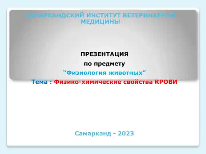 Презентация по предмету "Физиология животных"
