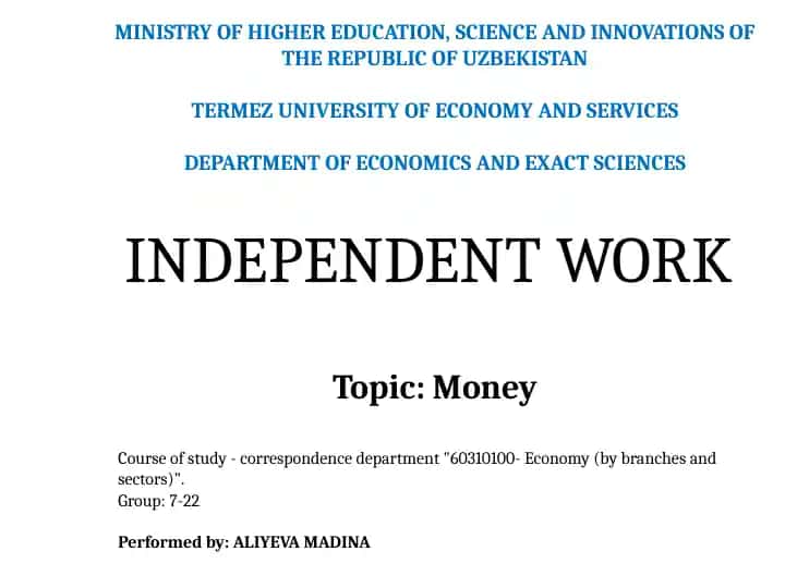 Independent Work "Money"
