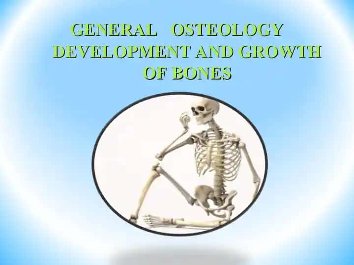 GENERAL OSTEOLOGY