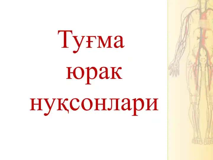 Туғмаюрак нуқсонлари