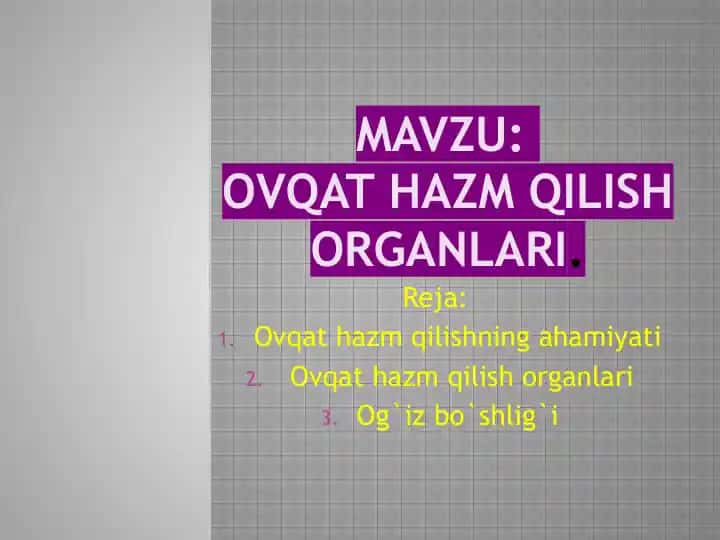 ovqat hazm qilish organlari