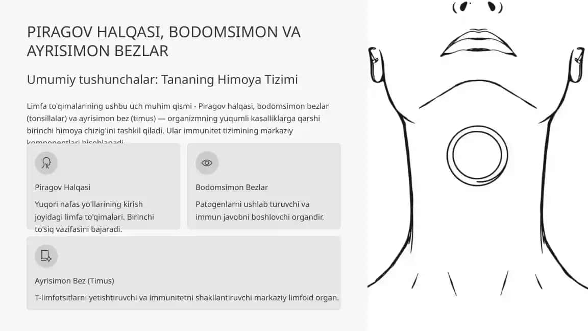 PIRAGOV HALQASI, BODOMSIMON VA AYRISIMON BEZLAR