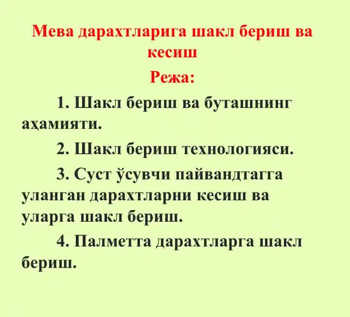 Мева дарахтларига шакл бериш ва кесиш
