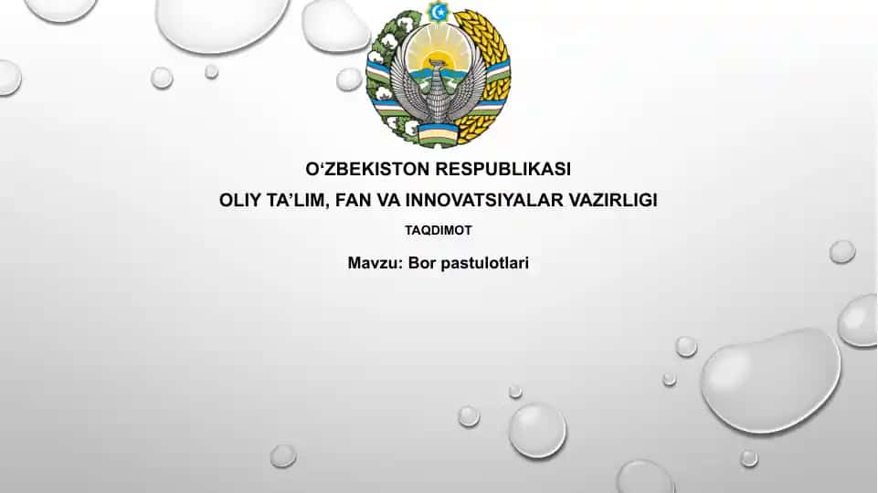 Vin rezinalari