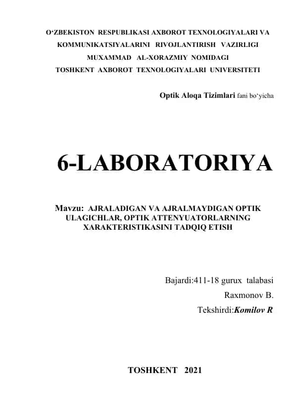 Optik Ulagichlar