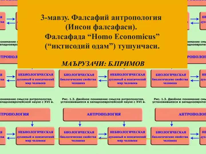 Фалсафий антропология(Инсон фалсафаси)