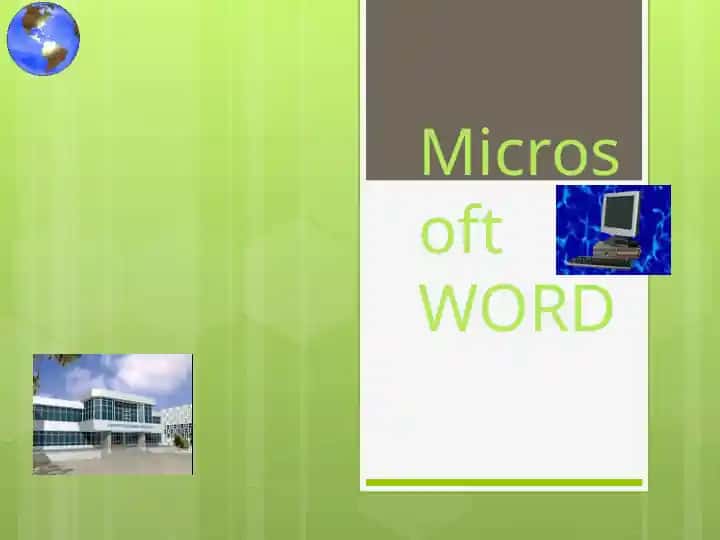 Microsoft WORD