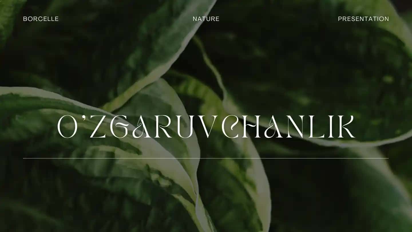 O'zgaruvchanlik