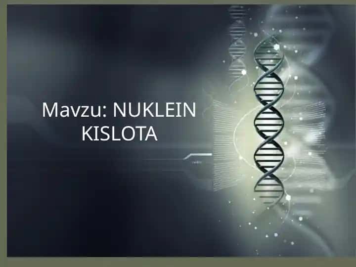NUKLEIN KISLOTA