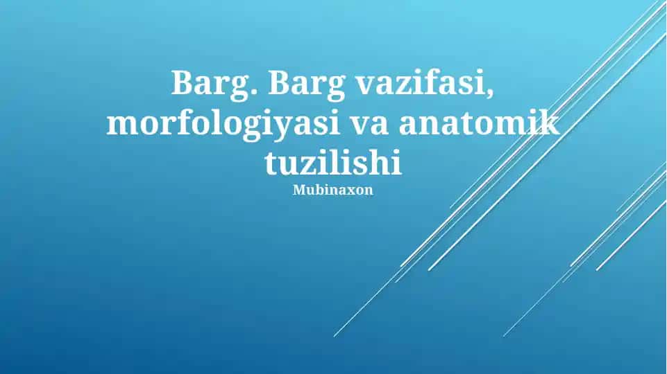 Barg