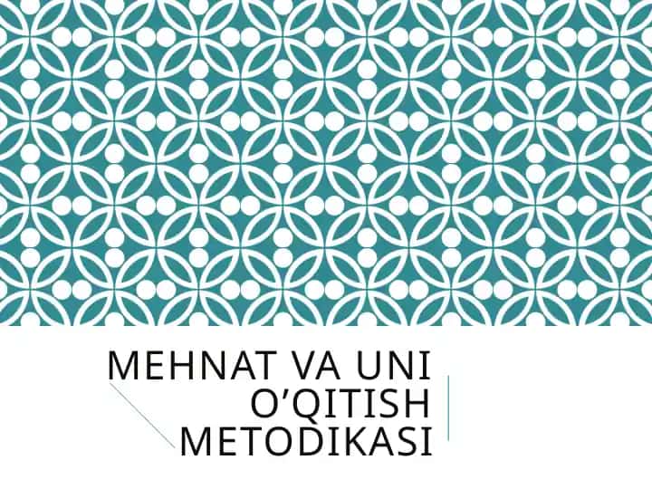 Mehnat va uni o’qitish metodikasi