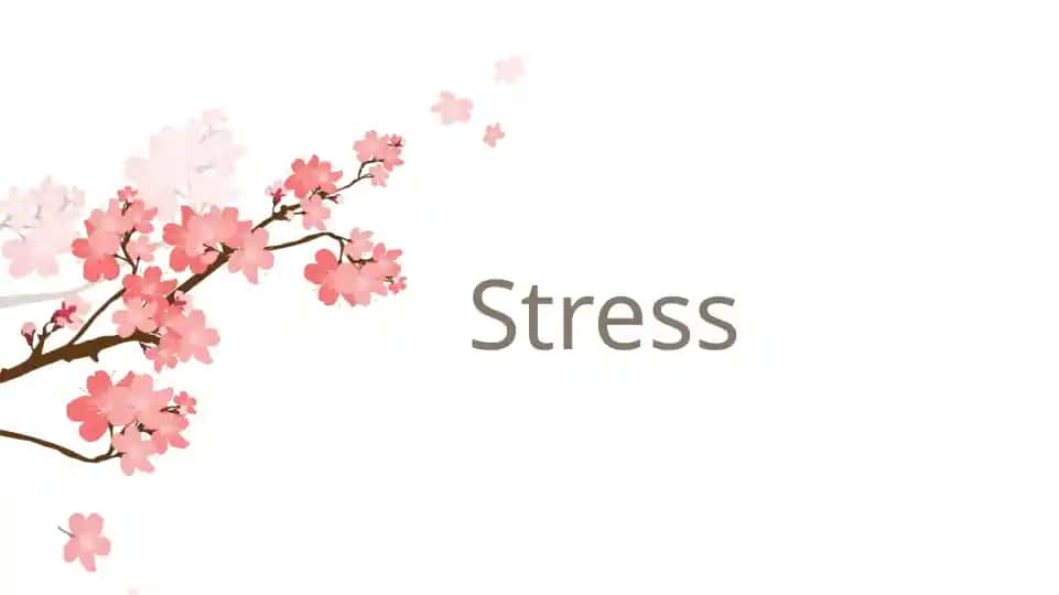 Stress
