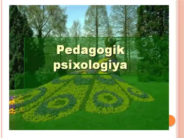 Pedagogik psixologiya