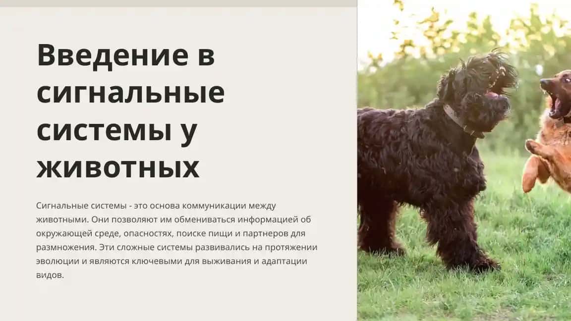 Введение в сигнальные системы у животных