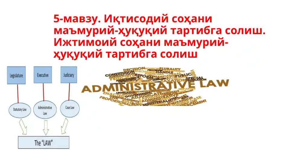Иқтисодий соҳани маъмурий-ҳуқуқий тартибга солиш