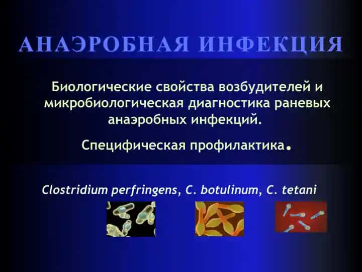 Биологические свойства возбудителей и микробиологическая диагностика раневых анаэробных инфекций. Специфическая профилактика.