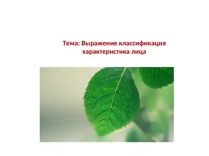 Выражение классификация характеристика лица