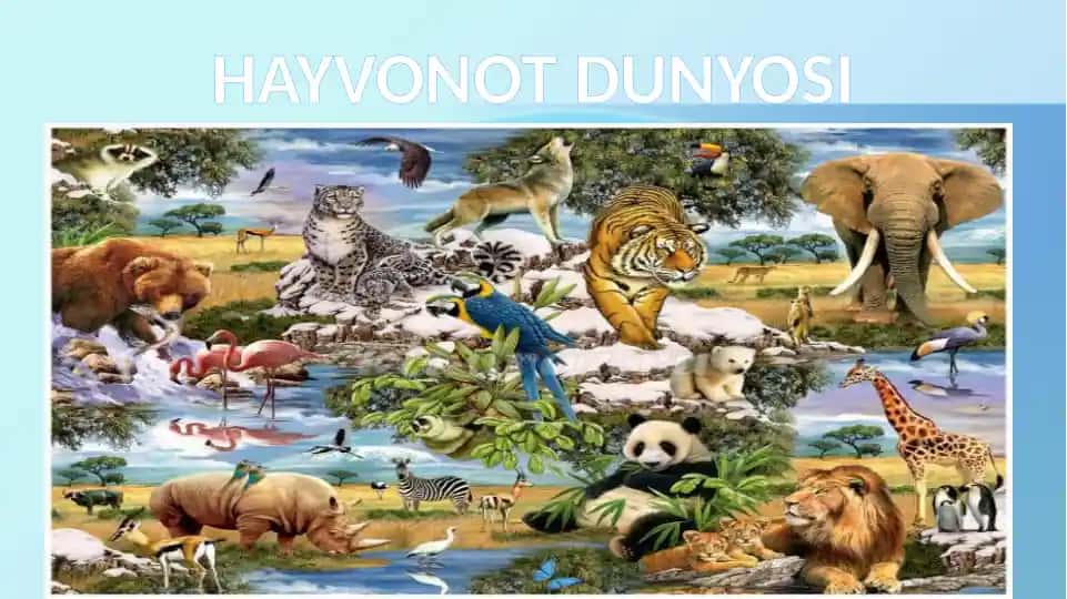HAYVONOT DUNYOSI