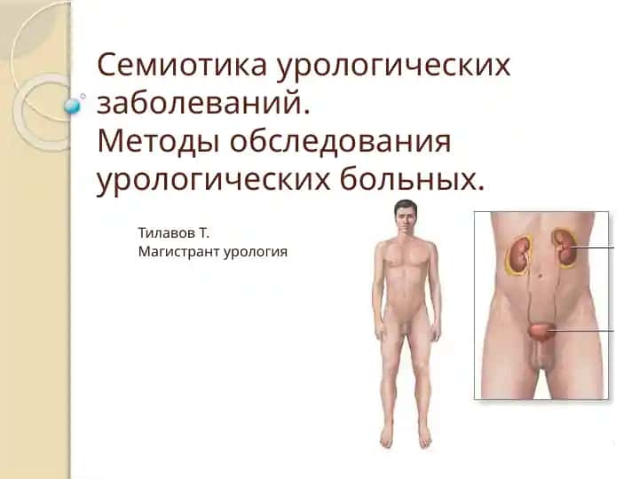 Семиотика урологических заболеваний.Методы обследования урологических больных