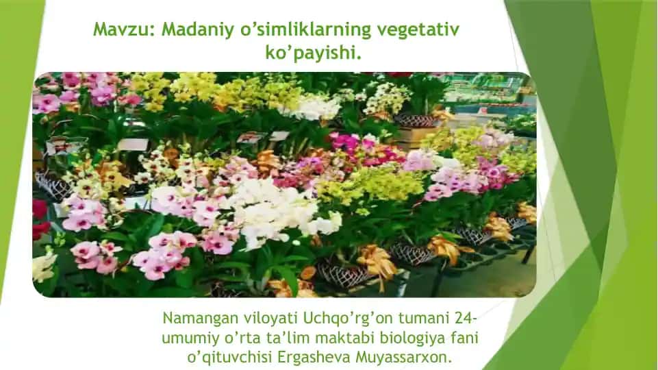 O'simliklarning vegetativ ko'payishi