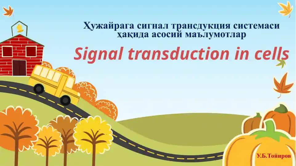 Signal transduction in cells