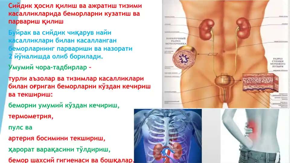 Касалликларни кўзатиш ва парвариш қилиш
