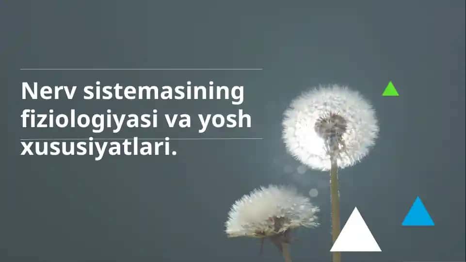 Nerv sistemasining fiziologiyasi va yosh xususiyatlari