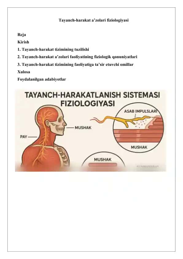 Tayanch-harakat a’zolari fiziologiyasi