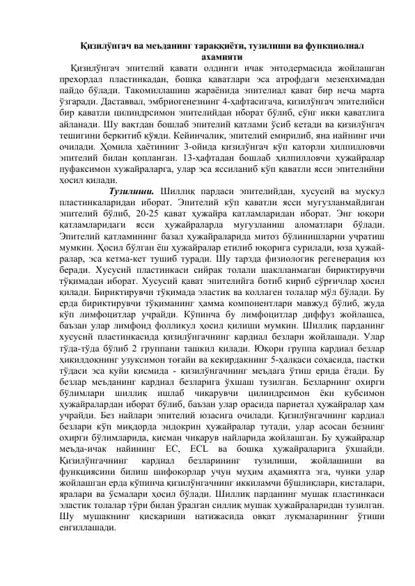 Қизилўнгач ва меъданинг тараққиёти, тузилиши ва функционал ахамияти