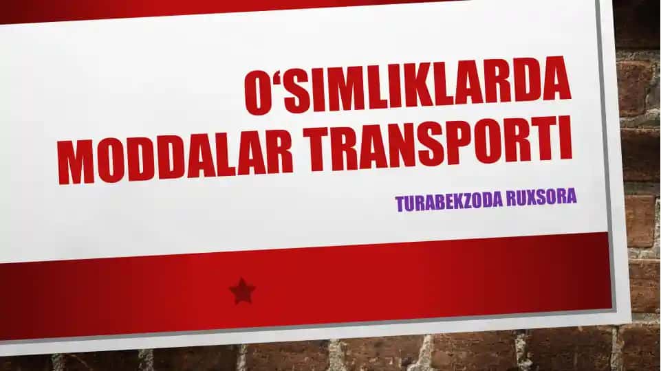 O‘SIMLIKLARDA MODDALAR TRANSPORTI