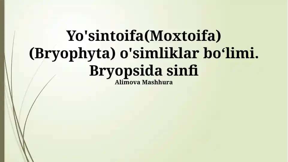 Bryopsida sinfi
