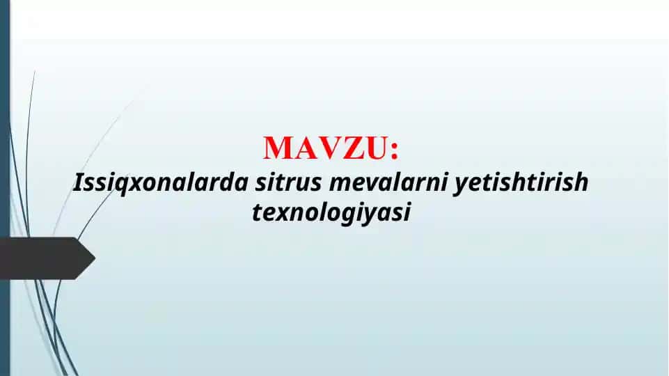 Issiqxonalarda sitrus mevalarni yetishtirish texnologiyasi (TAQDIMOT)