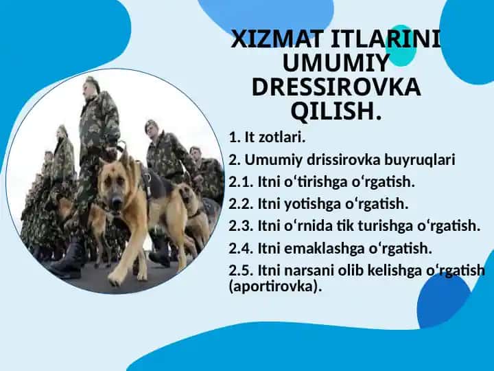 XIZMAT ITLARINI UMUMIY DRESSIROVKA QILISH