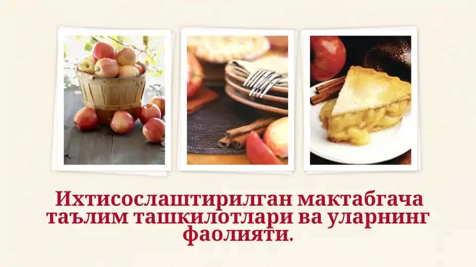 Ixtisoslashgan maktabgacha ta'lim tashkilotlari va ularning faoliyati