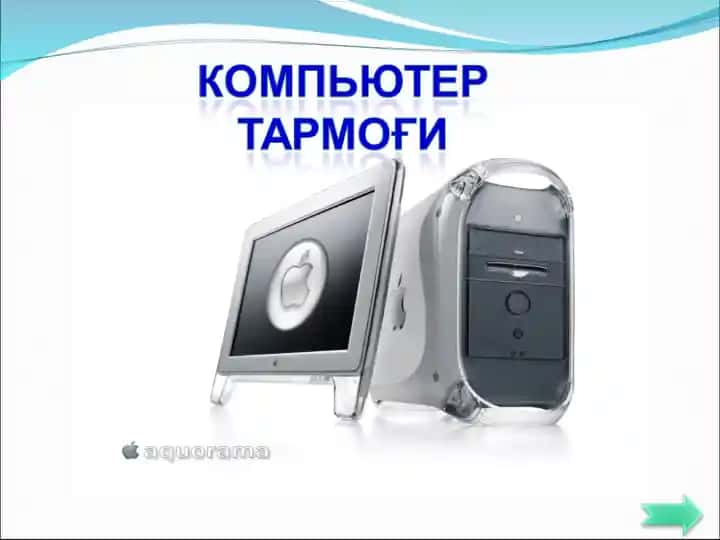Tarmoq-apparatlar