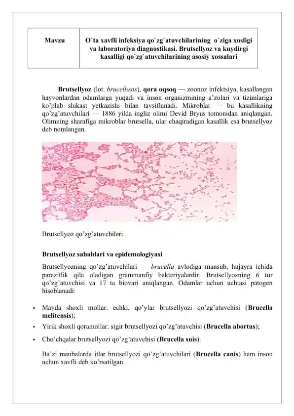 Brutsellyoz va Kuydirgi kasalligi haqida