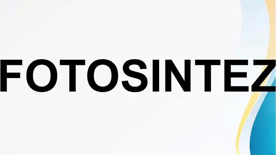 FOTOSINTEZ