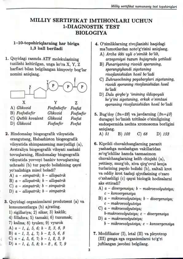 Milliy sertifikat namunaviy test topshiriglari