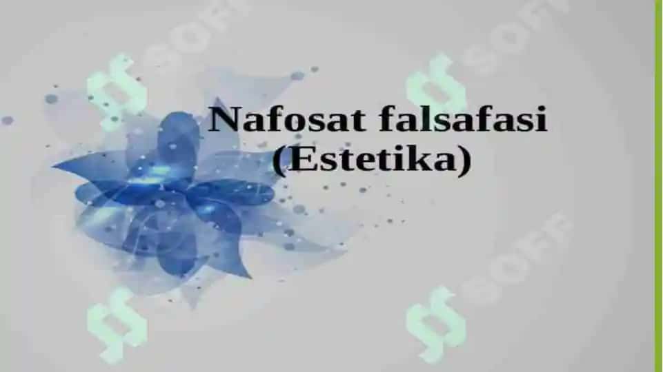 NAFOSAT FALSAFASI (ESTETIKA)