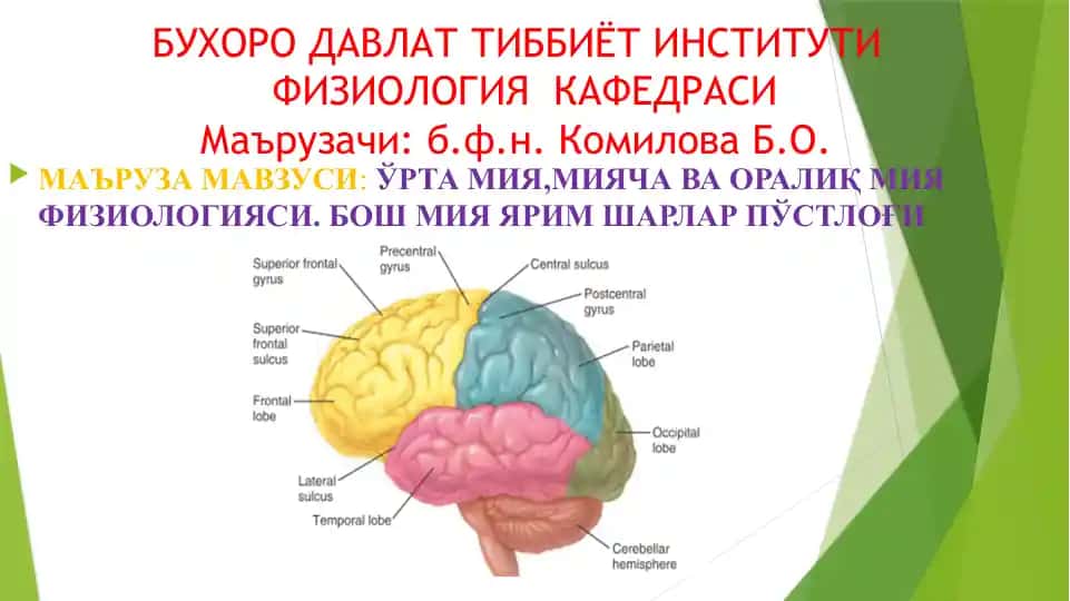 Физиология кафедраси