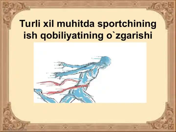 Sport Trenerovkasi
